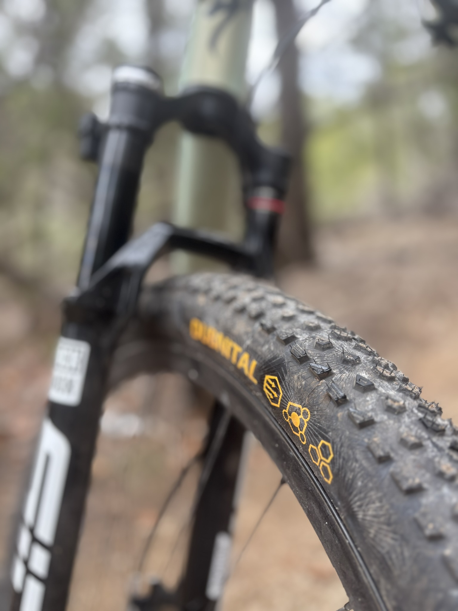 Continental Dubnital front tire close-up showing logo