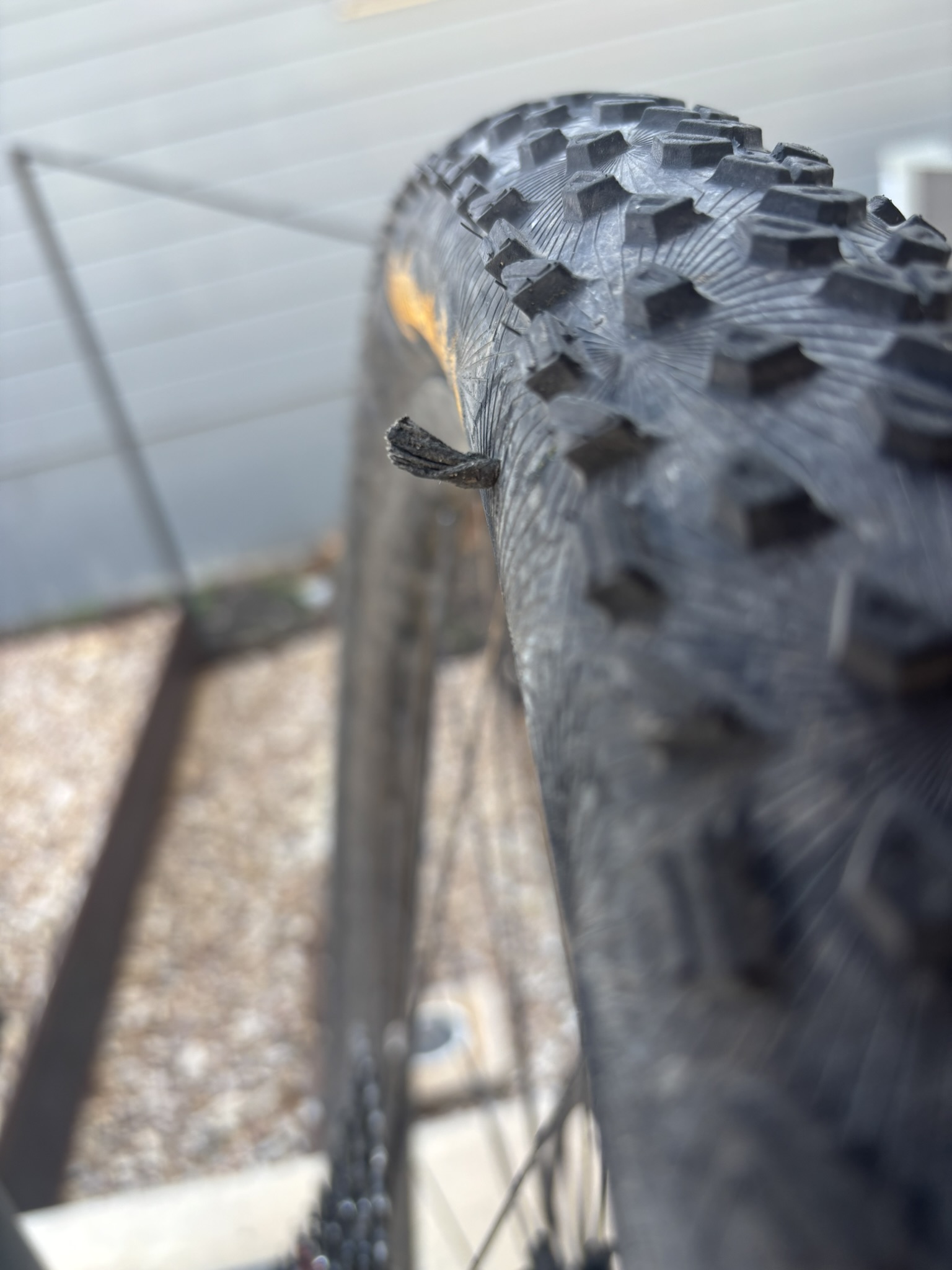 Continental Dubnital sidewall with tire plug inserted after puncture