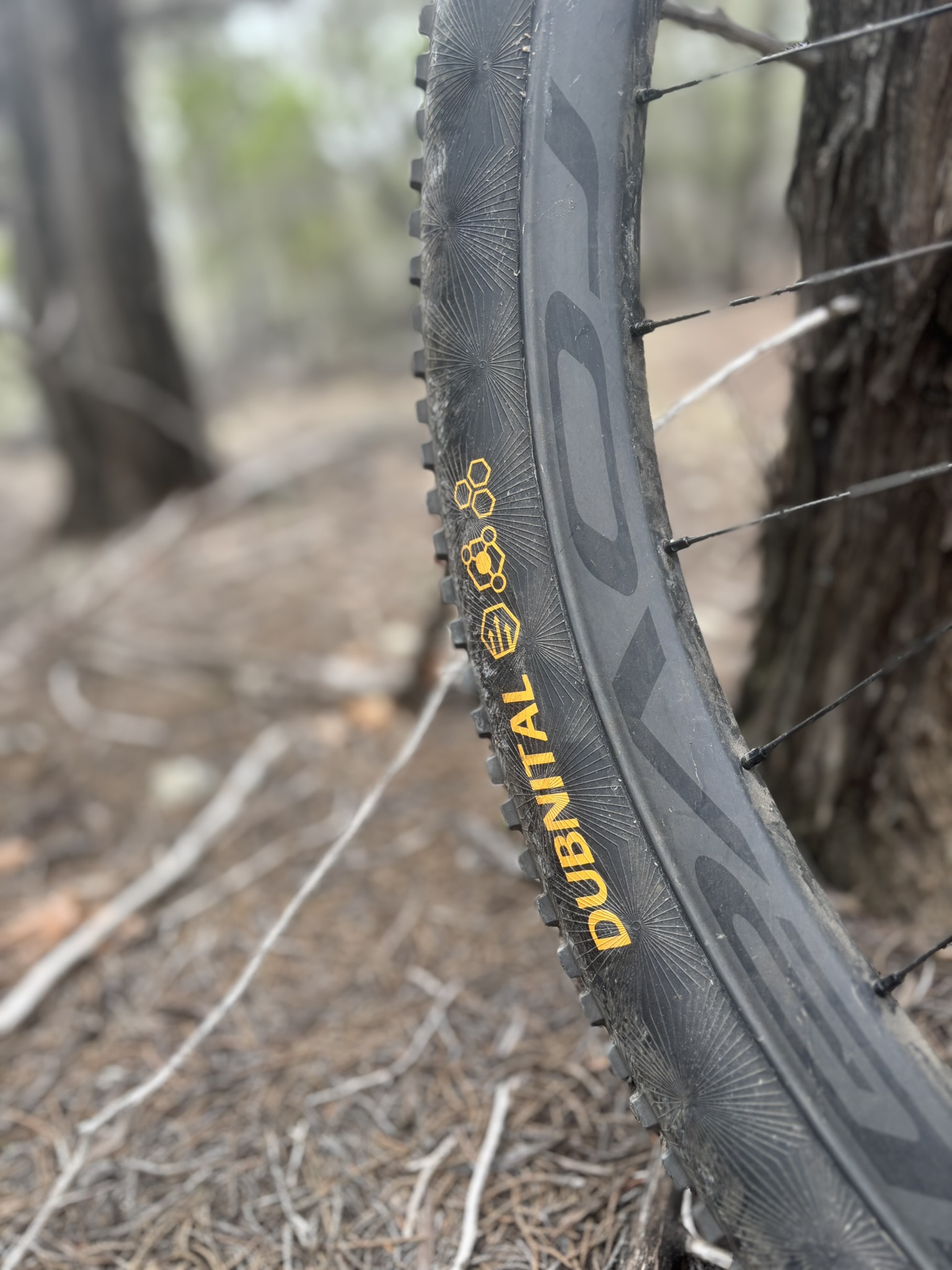 Continental Dubnital rear tire leaned against a tree with logo visible