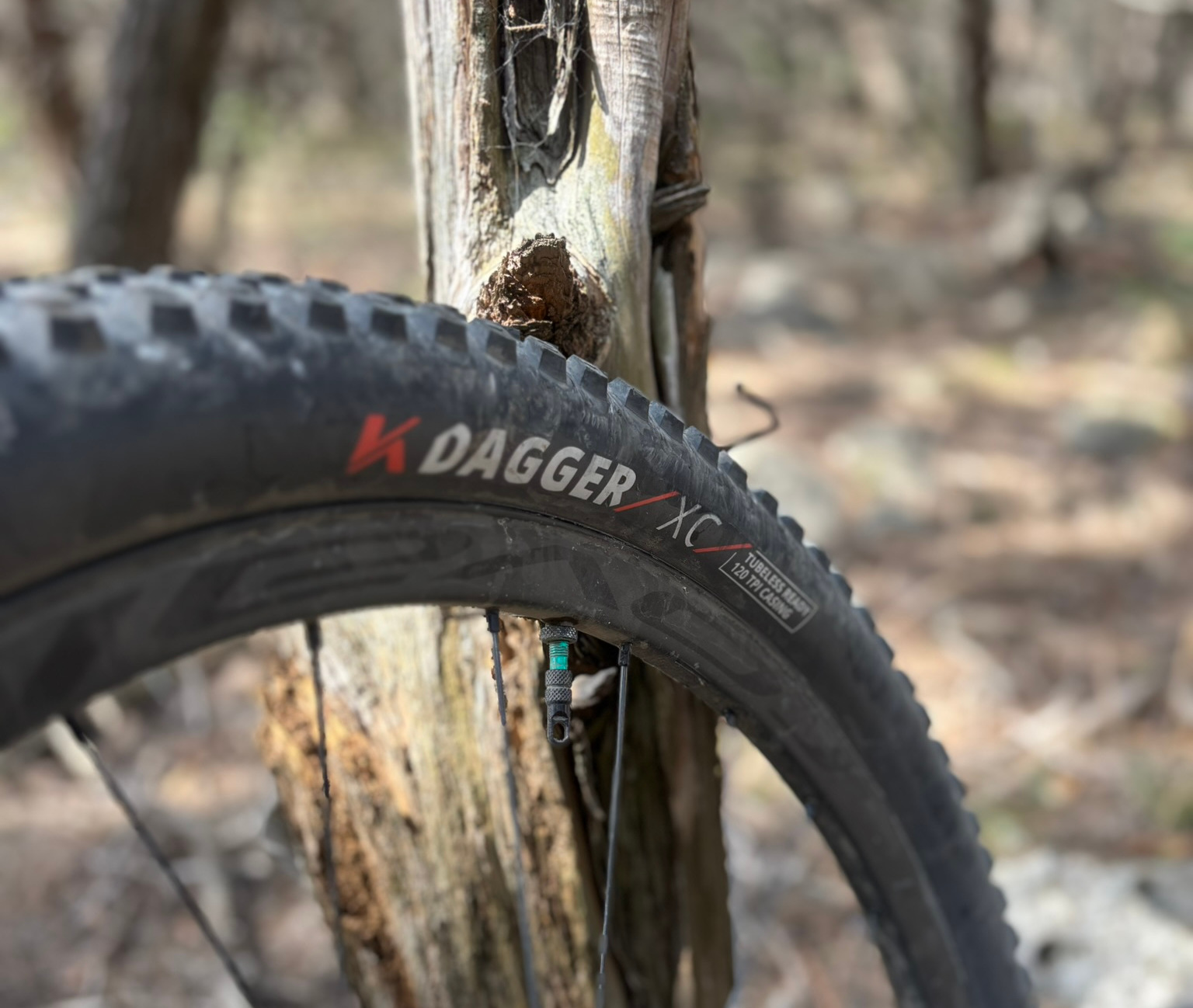 Kenda Dagger mounted on bike with sidewall logo visible