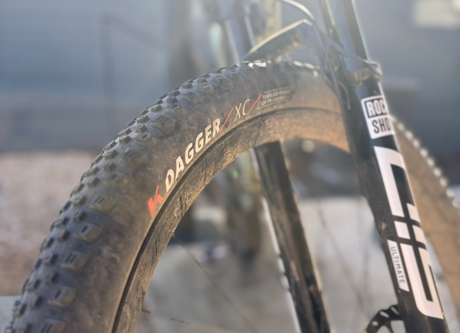 Kenda Dagger after a ride with tread and sidewall visible