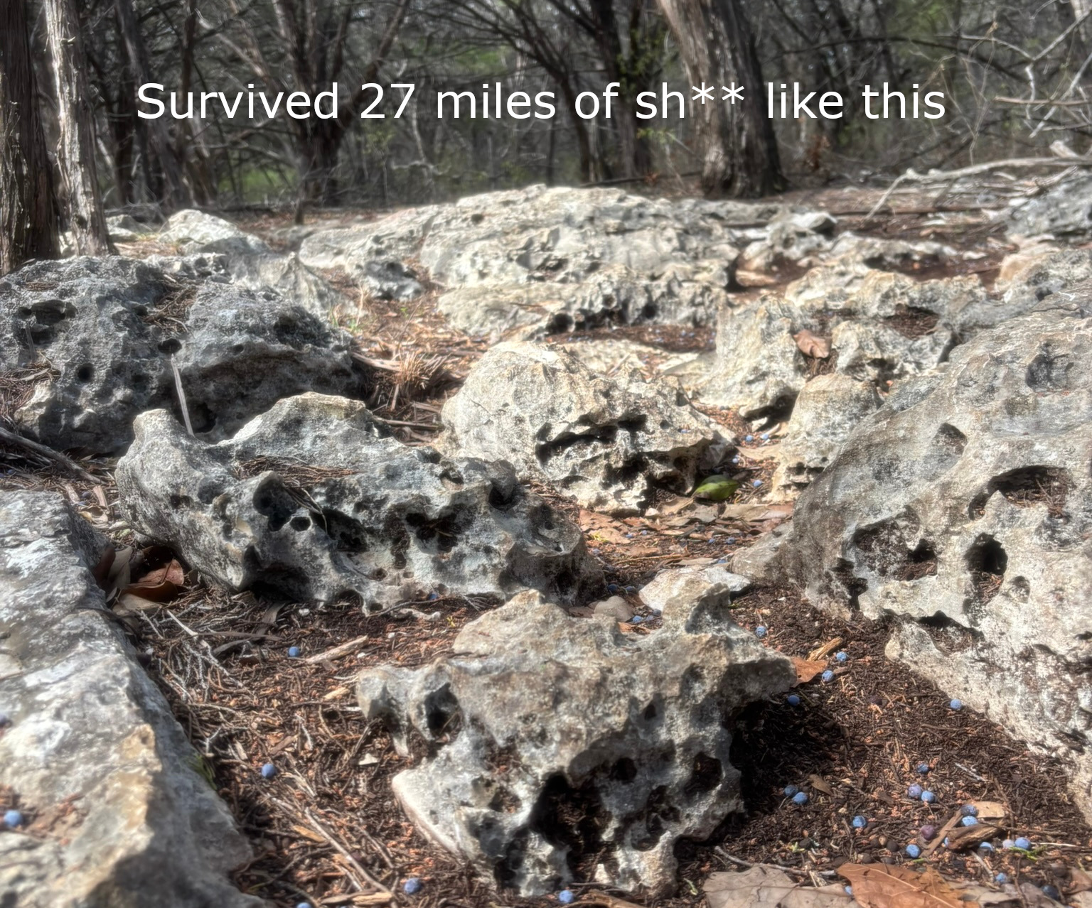 Representative sharp limestone similar to the kind of rock the Dagger handled at Lake Georgetown