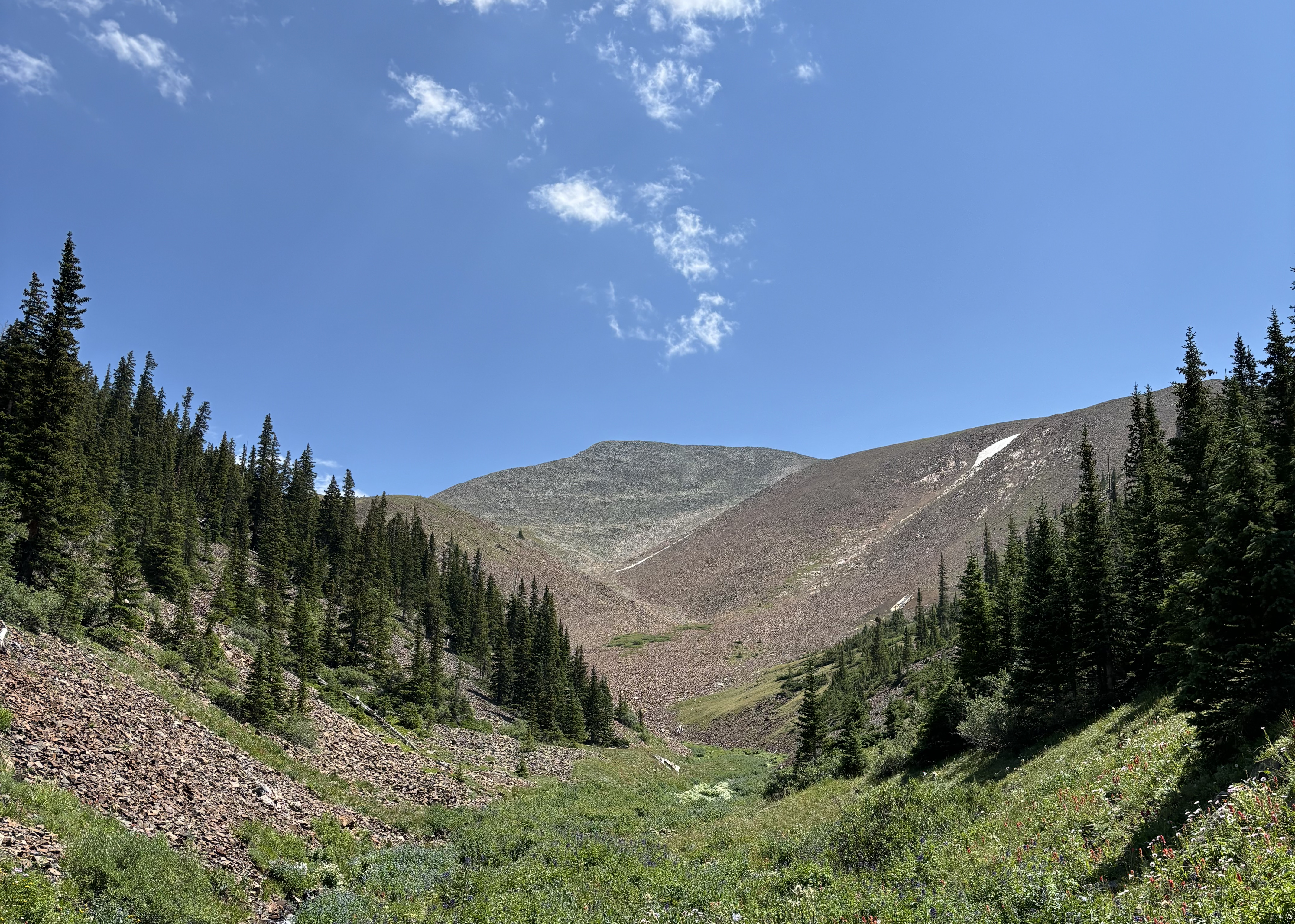 Climbing Little French Gulch.