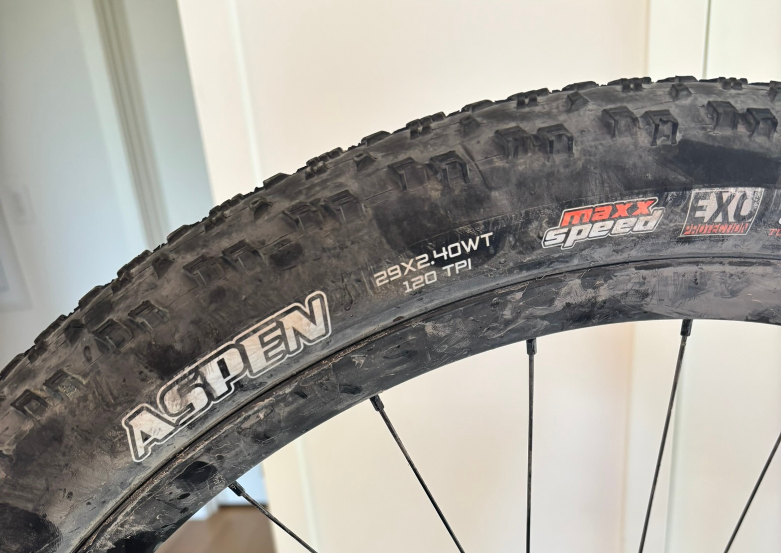 GJ Rids & Vibes - Aspen rear.