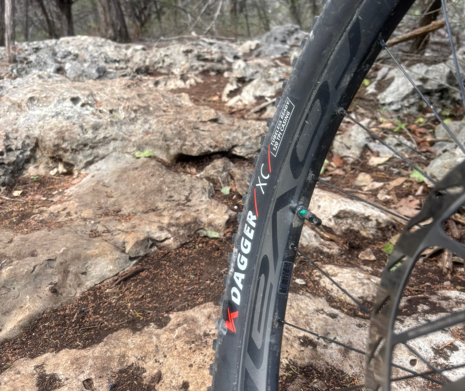 Kenda Dagger rear wheel on rough limestone terrain