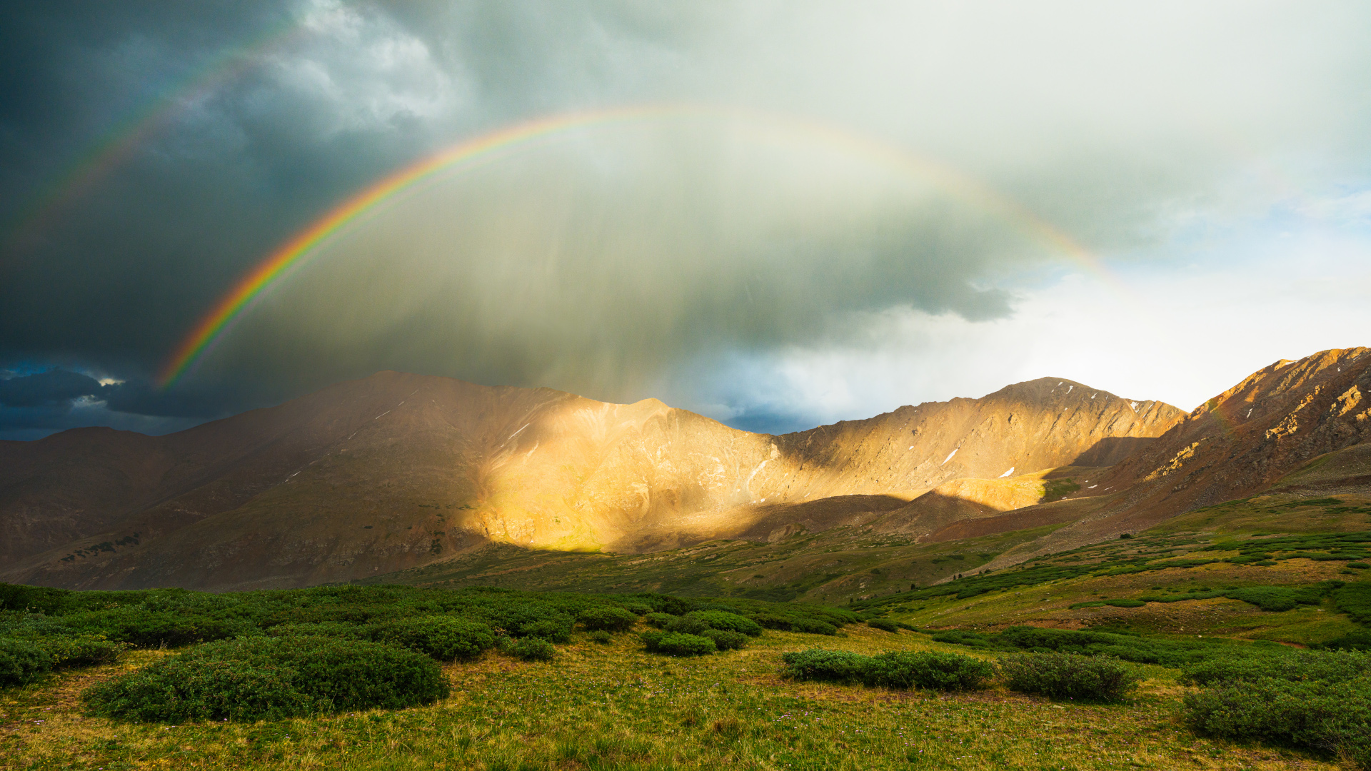 Leadville 100 MTB.