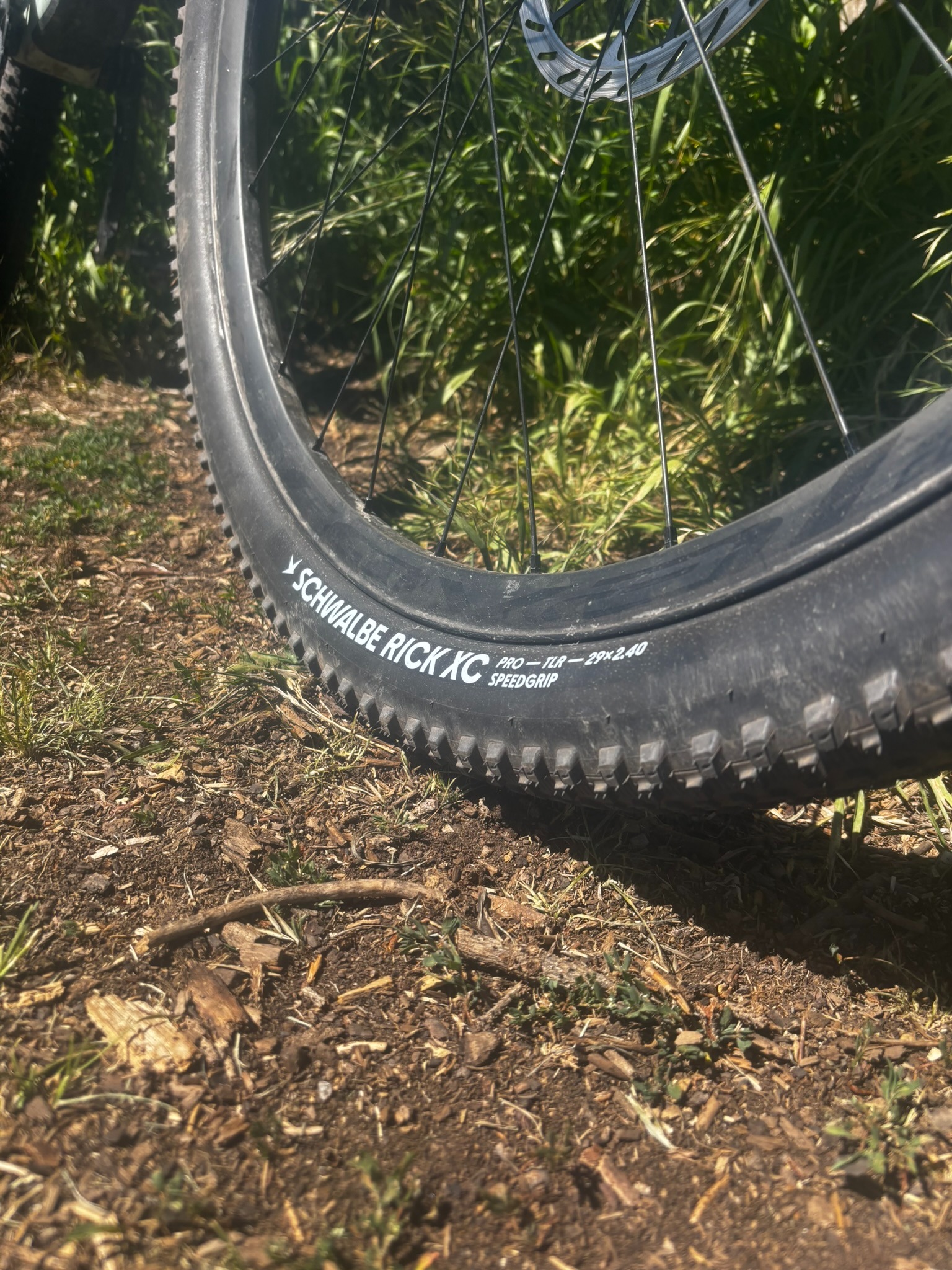 Schwalbe Rick XC Pro SpeedGrip 29x2.4 sidewall mounted on a Roval Control wheel on trail