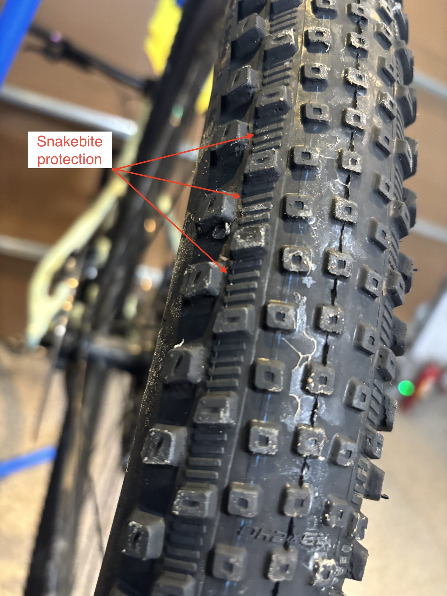 Schwalbe Rick XC Pro SpeedGrip 29x2.4 sidewall mounted on a Roval Control wheel on trail