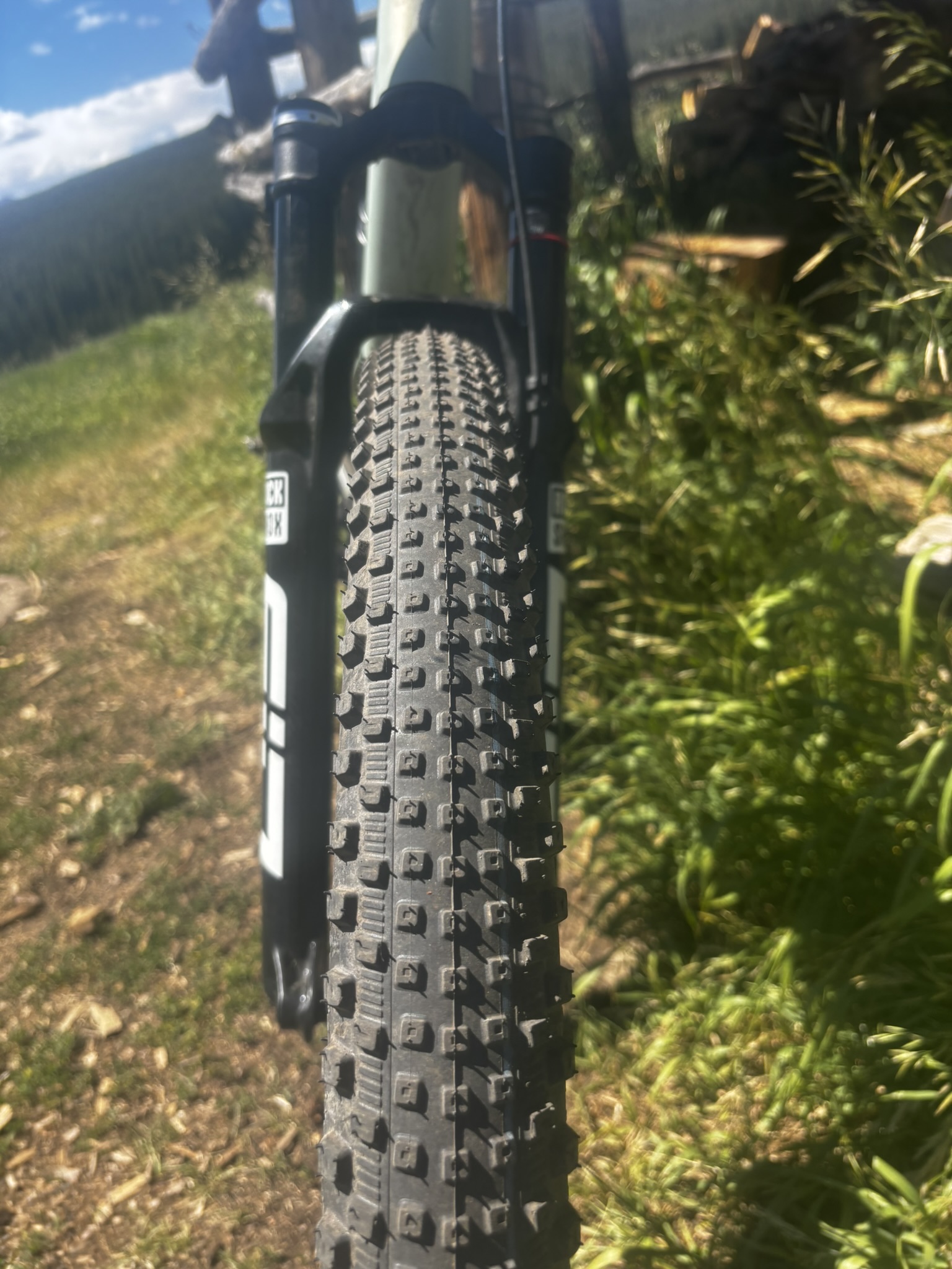 Schwalbe Rick XC Pro SpeedGrip tread pattern mounted on the front wheel